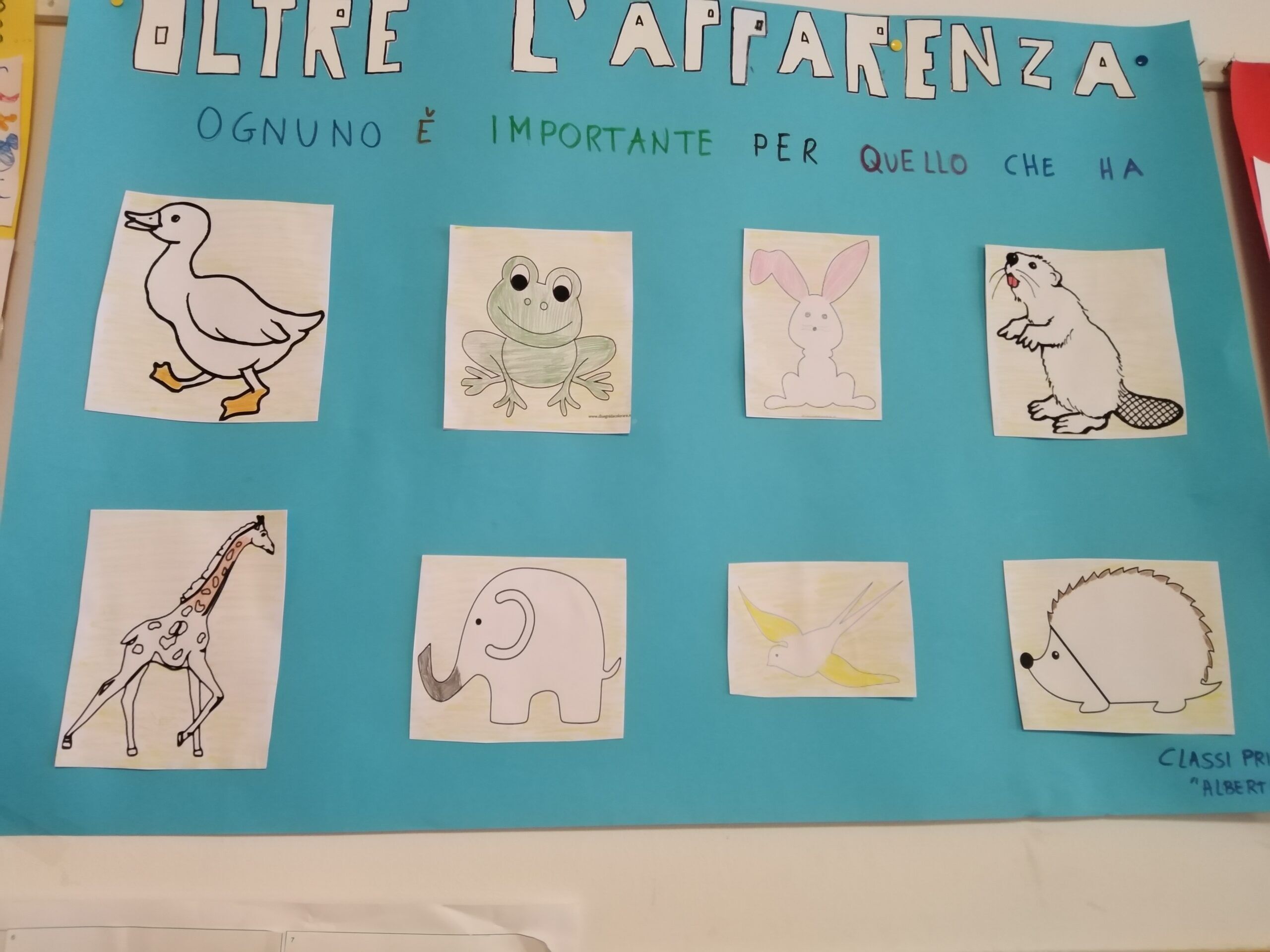 Scuola primaria "Boschetti Alberti" - Progetto Oltre l'apparenza 2021/2022